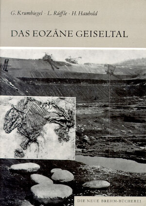 Buchcover Das eozäne Geiseltal | Günter Krumbiegel | EAN 9783894323875 | ISBN 3-89432-387-6 | ISBN 978-3-89432-387-5