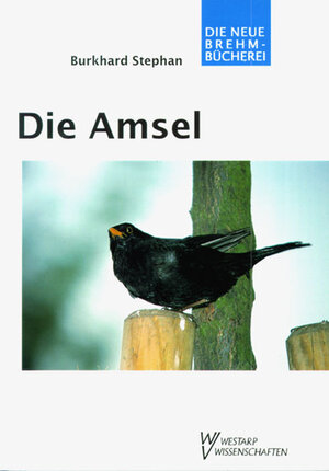 Buchcover Die Amsel | Burkhard Stephan | EAN 9783894324551 | ISBN 3-89432-455-4 | ISBN 978-3-89432-455-1