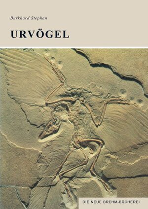 Urvögel. Archaeopterygiformes