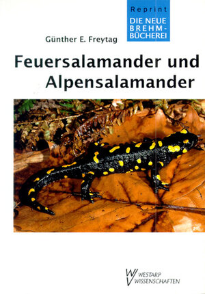 Buchcover Feuersalamander und Alpensalamander | Günther E Freytag | EAN 9783894324803 | ISBN 3-89432-480-5 | ISBN 978-3-89432-480-3