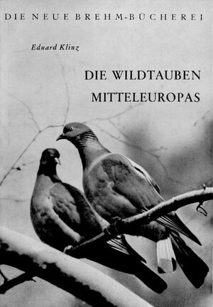Buchcover Die Wildtauben Mitteleuropas | Eduard Klinz | EAN 9783894326210 | ISBN 3-89432-621-2 | ISBN 978-3-89432-621-0