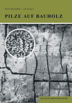 Buchcover Pilze auf Bauholz | Rudi Wagenführ | EAN 9783894326234 | ISBN 3-89432-623-9 | ISBN 978-3-89432-623-4