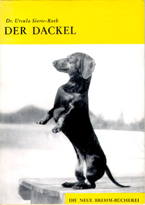 Der Dackel