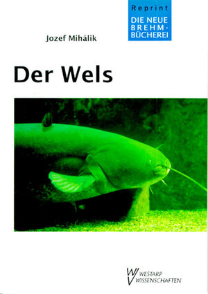 Buchcover Der Wels | Jozef Mihalik | EAN 9783894326555 | ISBN 3-89432-655-7 | ISBN 978-3-89432-655-5