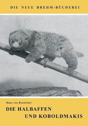 Buchcover Die Halbaffen und Koboldmakis | Hans von Boetticher | EAN 9783894326579 | ISBN 3-89432-657-3 | ISBN 978-3-89432-657-9