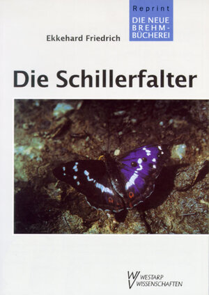 Buchcover Die Schillerfalter | Ekkehard Friedrich | EAN 9783894328412 | ISBN 3-89432-841-X | ISBN 978-3-89432-841-2