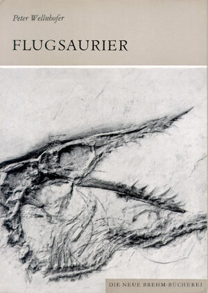 Flugsaurier: Pterosauria