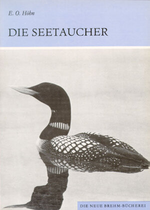 Buchcover Die Seetaucher | Otto Höhn | EAN 9783894328566 | ISBN 3-89432-856-8 | ISBN 978-3-89432-856-6