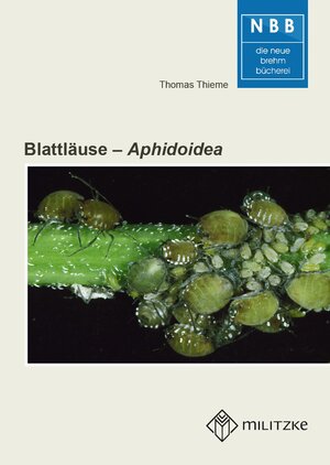 Buchcover Blattläuse – Aphidoidea | Thomas Thieme | EAN 9783894328900 | ISBN 3-89432-890-8 | ISBN 978-3-89432-890-0