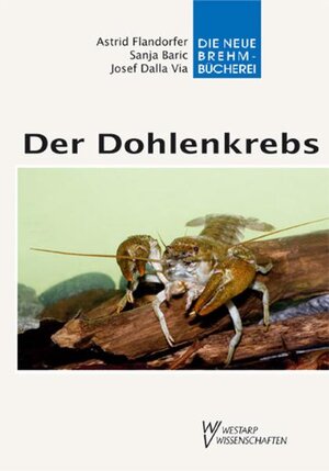 Buchcover Der Dohlenkrebs | Josef DallaVia | EAN 9783894329143 | ISBN 3-89432-914-9 | ISBN 978-3-89432-914-3