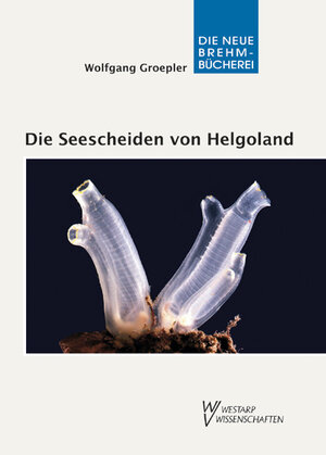 Buchcover Die Seescheiden von Helgoland | Wolfgang Groepler | EAN 9783894329594 | ISBN 3-89432-959-9 | ISBN 978-3-89432-959-4