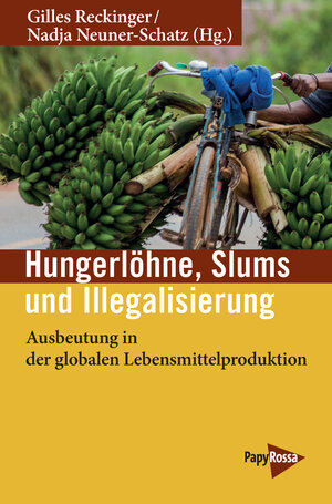 Buchcover Hungerlöhne, Slums, Illegalisierung  | EAN 9783894387013 | ISBN 3-89438-701-7 | ISBN 978-3-89438-701-3