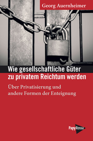 Buchcover Wie gesellschaftliche Güter zu privatem Reichtum werden | Georg Auernheimer | EAN 9783894387525 | ISBN 3-89438-752-1 | ISBN 978-3-89438-752-5