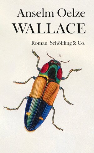 Buchcover Wallace | Anselm Oelze | EAN 9783895611322 | ISBN 3-89561-132-8 | ISBN 978-3-89561-132-2