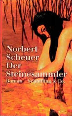 Buchcover Der Steinesammler | Norbert Scheuer | EAN 9783895613005 | ISBN 3-89561-300-2 | ISBN 978-3-89561-300-5