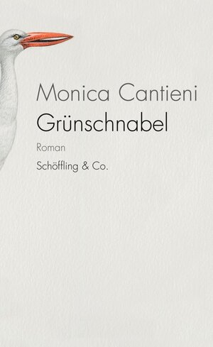 Buchcover Grünschnabel | Monica Cantieni | EAN 9783895618512 | ISBN 3-89561-851-9 | ISBN 978-3-89561-851-2
