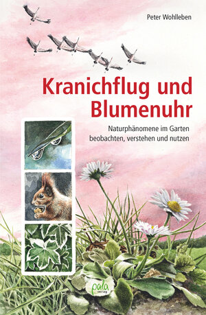 Buchcover Kranichflug und Blumenuhr | Peter Wohlleben | EAN 9783895663109 | ISBN 3-89566-310-7 | ISBN 978-3-89566-310-9