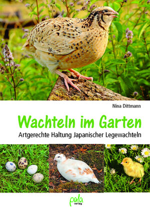 Buchcover Wachteln im Garten | Nina Dittmann | EAN 9783895663918 | ISBN 3-89566-391-3 | ISBN 978-3-89566-391-8