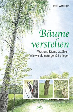 Buchcover Bäume verstehen | Peter Wohlleben | EAN 9783895666667 | ISBN 3-89566-666-1 | ISBN 978-3-89566-666-7