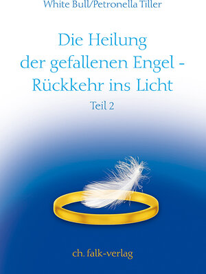 Buchcover Die Heilung der gefallenen Engel – Rückkehr ins Licht | Petronella Tiller | EAN 9783895682889 | ISBN 3-89568-288-8 | ISBN 978-3-89568-288-9