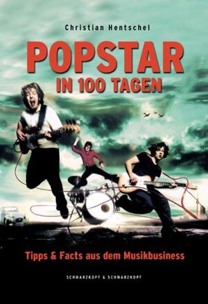 POPSTAR in 100 Tagen. Tipps und Facts aus dem Musikbusiness