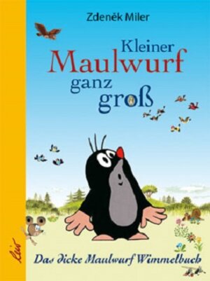 Buchcover Kleiner Maulwurf ganz groß  | EAN 9783896034670 | ISBN 3-89603-467-7 | ISBN 978-3-89603-467-0