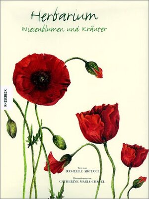 Herbarium. Wiesenblumen und Kräuter