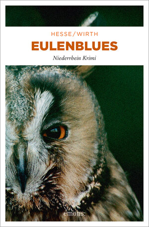 Buchcover Eulenblues | Thomas Hesse | EAN 9783897059306 | ISBN 3-89705-930-4 | ISBN 978-3-89705-930-6
