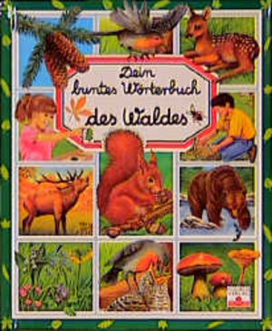 Dein buntes Wörterbuch des Waldes