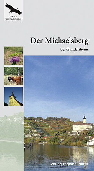 Buchcover Der Michaelsberg bei Gundelsheim | Christoph Morrissey | EAN 9783897354913 | ISBN 3-89735-491-8 | ISBN 978-3-89735-491-3