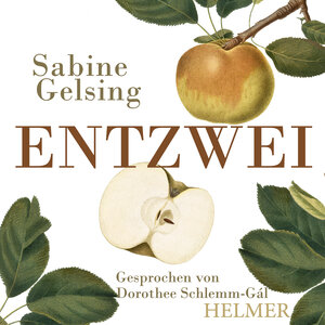 Buchcover Entzwei | Sabine Gelsing | EAN 9783897414778 | ISBN 3-89741-477-5 | ISBN 978-3-89741-477-8