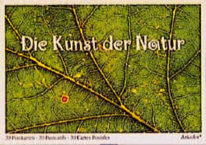 Die Kunst der Natur. 30 farbige Postkarten