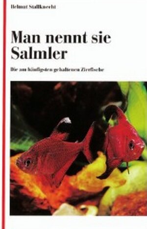 Man nennt sie Salmler: Die am häufigsten gehaltenen Zierfische