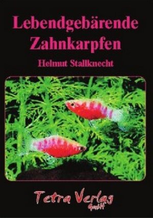 Buchcover Lebendgebärende Zahnkarpfen | Helmut Stallknecht | EAN 9783897451278 | ISBN 3-89745-127-1 | ISBN 978-3-89745-127-8