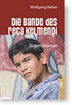 Buchcover Die Bande des Reca Kelmendi | Wolfgang Weber | EAN 9783897743809 | ISBN 3-89774-380-9 | ISBN 978-3-89774-380-9
