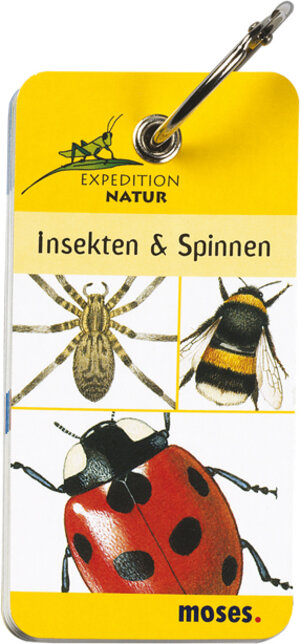 Expedition Natur. Insekten & Spinnen