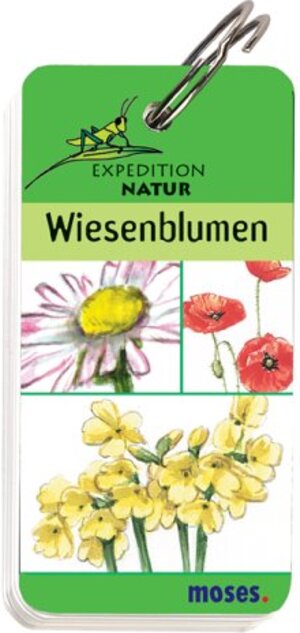 Expedition Natur. Wiesenblumen: Entdecken - Bestimmen - Staunen