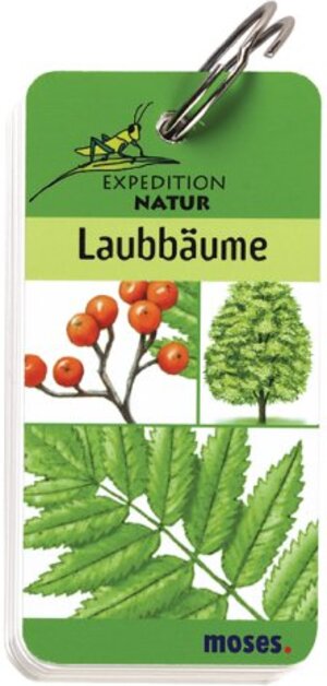 Expedition Natur. Laubbäume