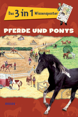 Das Wissensposter: Pferde und Ponys