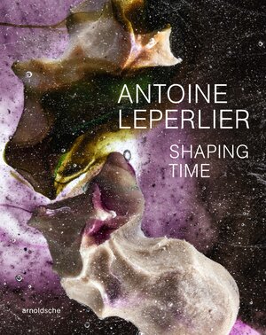 Buchcover Antoine Leperlier | Andrew Brewerton | EAN 9783897907041 | ISBN 3-89790-704-6 | ISBN 978-3-89790-704-1