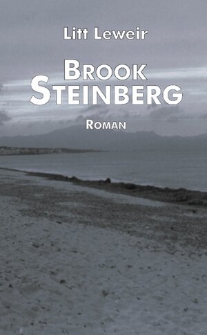 Brook Steinberg. Roman (Book on Demand)