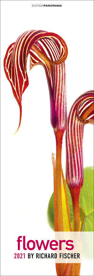 Buchcover Flowers 2021 | EAN 9783898236072 | ISBN 3-89823-607-2 | ISBN 978-3-89823-607-2