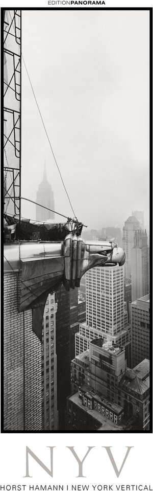 Buchcover New York Vertical | Horst Hamann | EAN 9783898236270 | ISBN 3-89823-627-7 | ISBN 978-3-89823-627-0