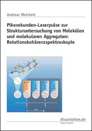 Pikosekunden-Laserpulse zur Strukturuntersuchung von Molekülen und molekularen Aggregaten: Rotationskohärenzspektroskopie