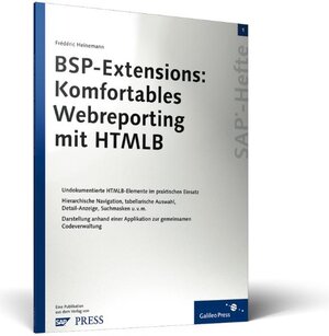 BSP-Extensions: Komfortables Webreporting mit HTMLB: SAP-Heft 1 (SAP-Hefte)