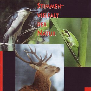 Buchcover Stimmenvielfalt der Natur | Diethelm Zimmermann | EAN 9783898496513 | ISBN 3-89849-651-1 | ISBN 978-3-89849-651-3