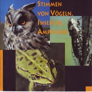 Buchcover Stimmen von Vögeln, Insekten, Amphibien | Diethelm Zimmermann | EAN 9783898496520 | ISBN 3-89849-652-X | ISBN 978-3-89849-652-0