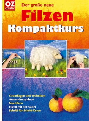 Der große neue Filzen Kompaktkurs: Grundlagen und Techniken, Anwendungsideen, Nassfilzen, Filzen mit der Nadel, Schritt-für-Schritt-Kurse