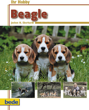 Buchcover Ihr Hobby Beagle | Jochen H. Eberhardt | EAN 9783898600828 | ISBN 3-89860-082-3 | ISBN 978-3-89860-082-8