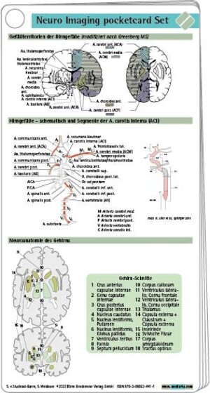 Buchcover Neuro Imaging pocketcard Set | Sebastian von Stuckrad-Barre | EAN 9783898624411 | ISBN 3-89862-441-2 | ISBN 978-3-89862-441-1